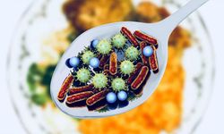 Gıda kaynaklı zehirlenme vakaları artıyor