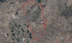 Kayalı'da arkeolojik sit alanı kararı