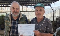 Gazipaşa'da kontrollü üretime sertifika