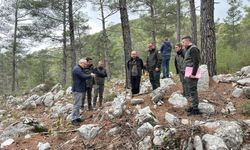 Kayıran çalışmaları inceledi