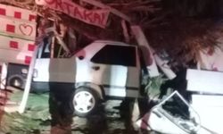 Aracıyla çilek tezgahına daldı