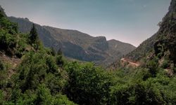 Antalya'da orman sınırları yeniden çizildi