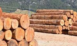 ORMAN EMVALİ İSTİF YAPIM İŞİ