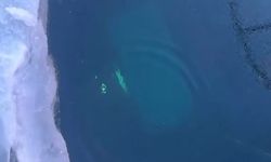 Tur aracı göle düştü: 8 ölü