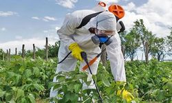 Ziraatçılardan yardım çığlığı
