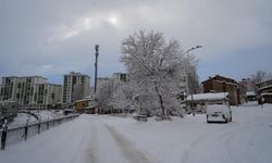 775 köy yolu ulaşıma kapandı