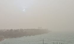 Antalya’da şaşırtan manzara