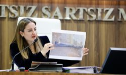 Meclis toplantısında fotoğraflı tartışma