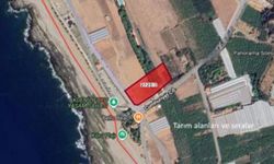 Koru Sahili'nde doğa kazandı!