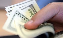 Kardeşlerin başına 10 milyon dolar ödül