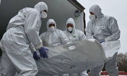 Rusya-Ukrayna arasında cenaze takası