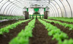 Tarıma ‘sosyal medya fiyatı’ denetimi gelmeli