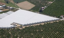 Antalya’dan korkutan açıklama: 100 ülkenin gıda güvenliği tehlikede