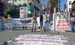 Antalya’da hayvan hakları için tek ses oldular