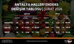 Hal endeksi açıklandı