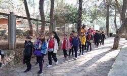 Çocuklar eğlenerek öğrendiler