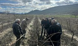 Korkuteli'de çiftçiye eğitim