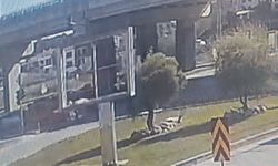 Manavgat'ta kaza: 1 yaralı