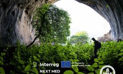 'CReSInMed' projesi başlıyor