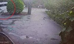 Kaza anı kameralarda