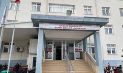 Anne ve kızları serbest bırakıldı