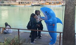 Manavgat sokaklarında köpek balığı süprizi