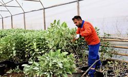 Muratpaşa'da örnek üretim