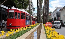 Antalya sokakları renklendi