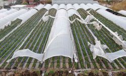 Atıklara karşı ‘Tarımsal plastik yönetim sistemi’ önerisi