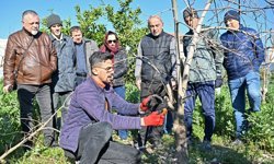 Antalya'da ağaç budama eğitimi