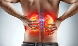 Böbrek sağlığı için günlük alışkanlıklara dikkat