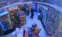 Manavgat'ta hırsızlara operasyon