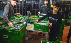 Rusya'ya sebze ihracatı arttı