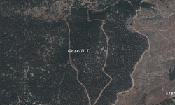 Gazelli Tepe'de arkeolojik sit alanı kararı