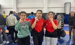 Serikli güreşçilerden 3 madalya