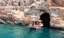 Akdeniz foku yuvalarına ‘tur’ şikayeti