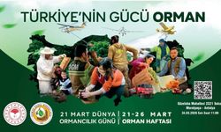 Orman Haftası etkinliği 24 Mart’ta