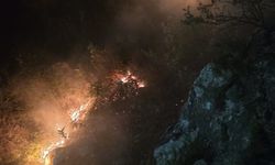 Alanya'da orman yangını