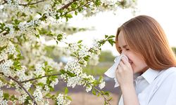 Bahar polenleri alerjiyi tetikliyor