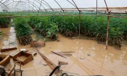 Afetin izleri pazara yansıdı