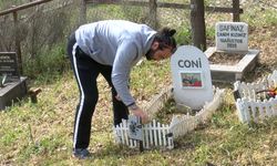 Evcil hayvan mezarlığına bayram ziyareti
