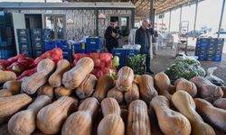 Antalya'dan 64 ülkeye gönderiliyor