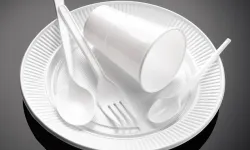 Çevre mühendislerinden yasak yorumu: Evet ama yetmez