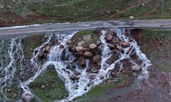 Doğa yeniden hayat buldu: Asfaltın ortasından pınar çıktı