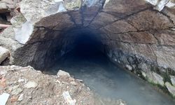 Türkiye’de bir örneği daha yok