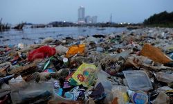 Çevreyi kirleten maliyetini ödemeli