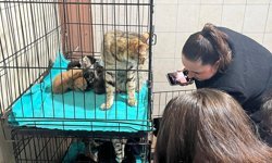 Patili dostlara anlamlı destek