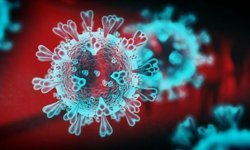 Koronavirüs kol geziyor