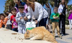 Manavgatlı minikler can dostları için sahada