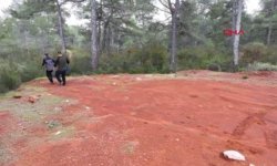 Türkiye Ormancılık Yarışmaları tamamlandı